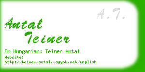 antal teiner business card